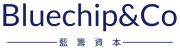 bluechipco 主logo